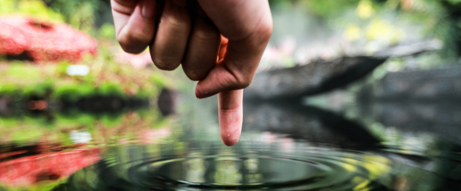 empath survival blog