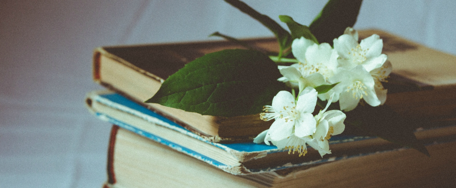 leslies journey blog