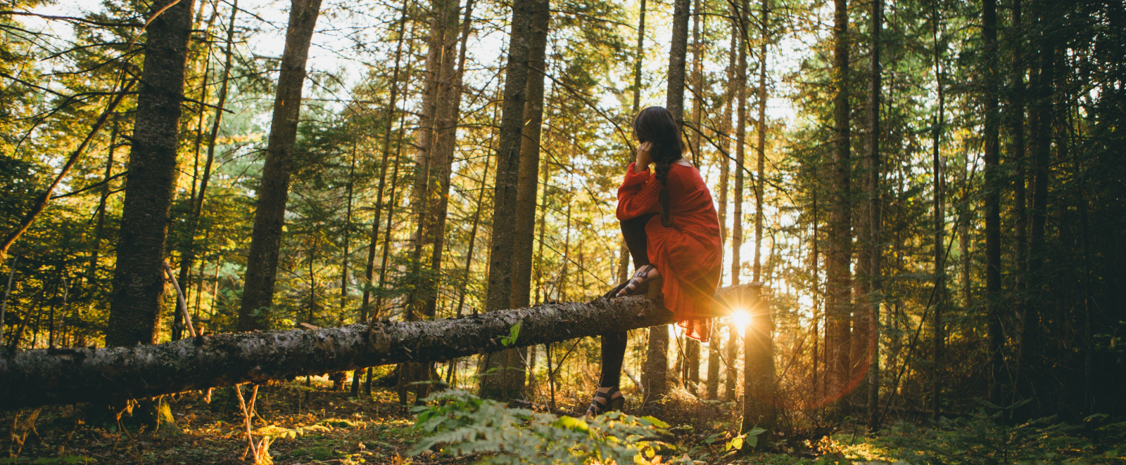 forgiveness prayer blog