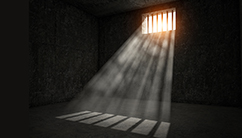 prison support widget