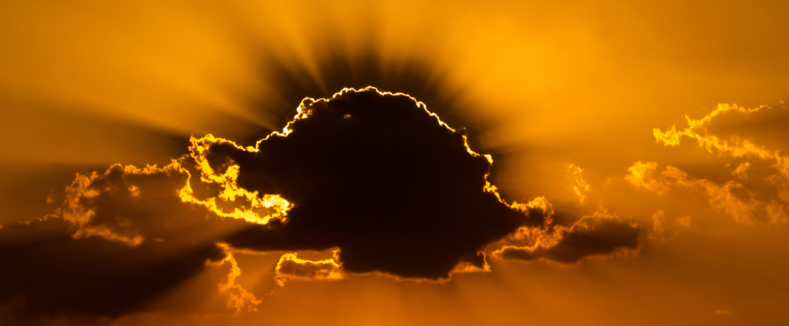 reincarnation unnecessary blog