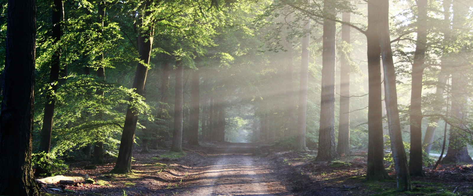 april many happy returns