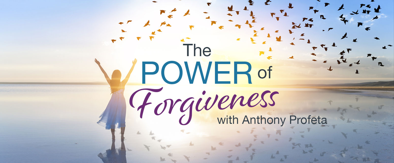 wnw 1 12 powerforgiveness webpage 1600x662