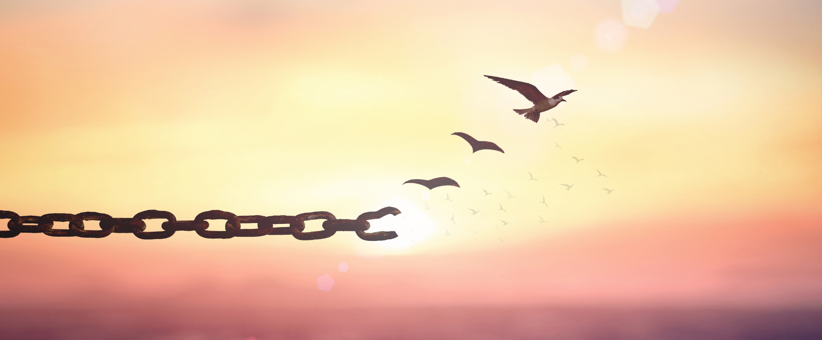 forgiveness blog 1922