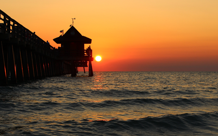 transitioning asfg blog