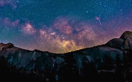 an answer to a vital question