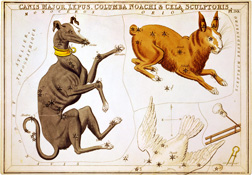 Sidney_Hall,_Canis_Major,_Lepus,_Columba